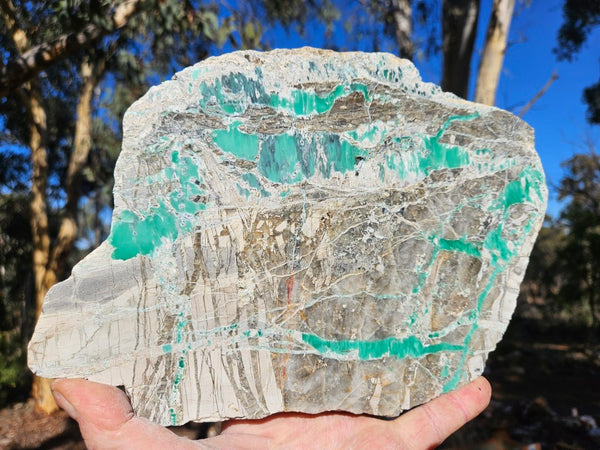 Variscite Polished Slab.  VP 310