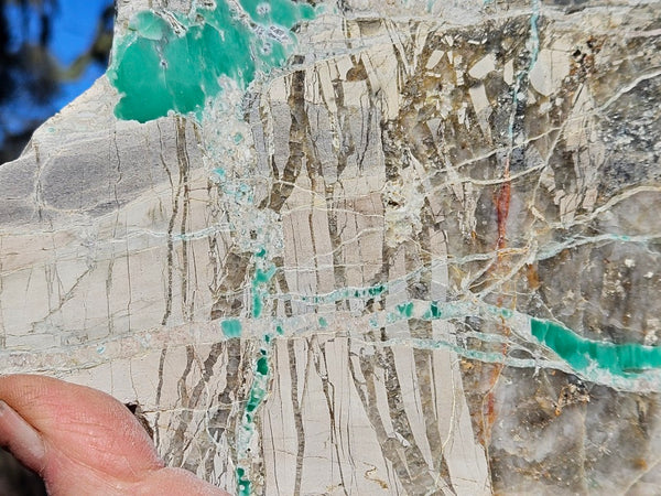 Variscite Polished Slab.  VP 310