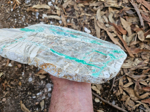 Variscite Polished Slab.  VP 310