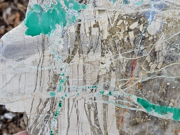 Variscite Polished Slab.  VP 310