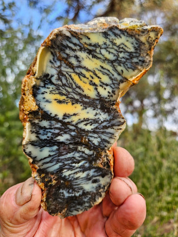 Polished Dendritic Opal slab DO245
