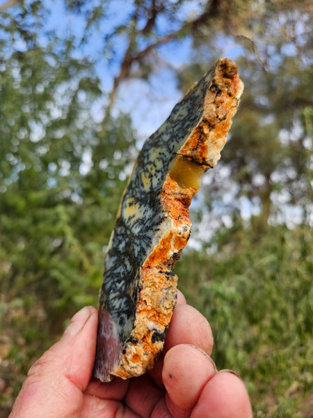 Polished Dendritic Opal slab DO245
