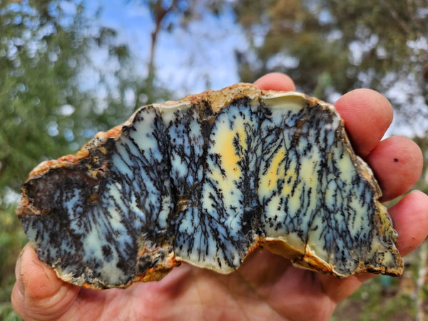 Polished Dendritic Opal slab DO245