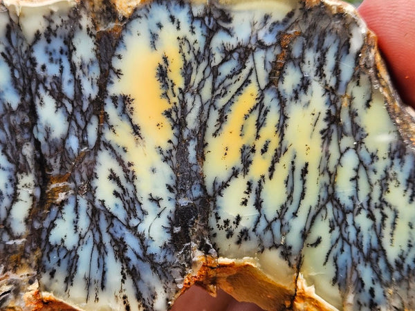Polished Dendritic Opal slab DO245