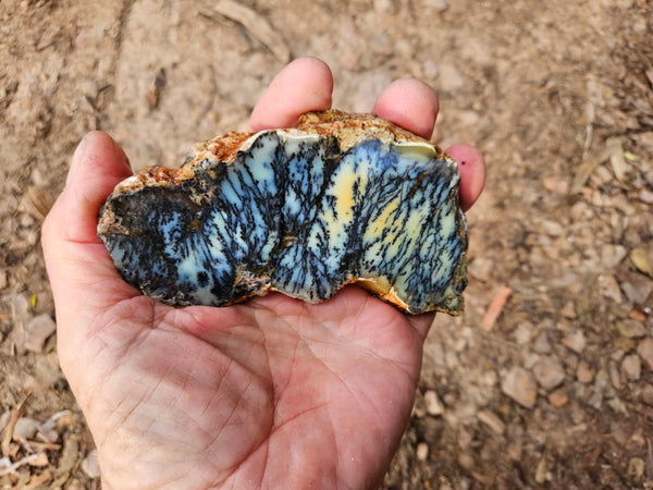 Polished Dendritic Opal slab DO245