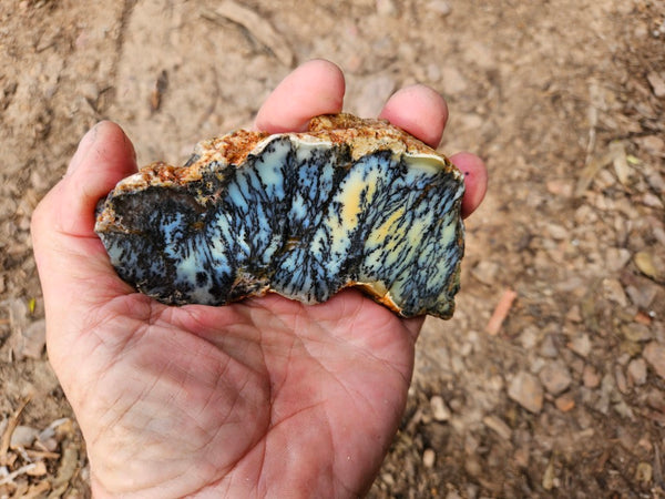 Polished Dendritic Opal slab DO245