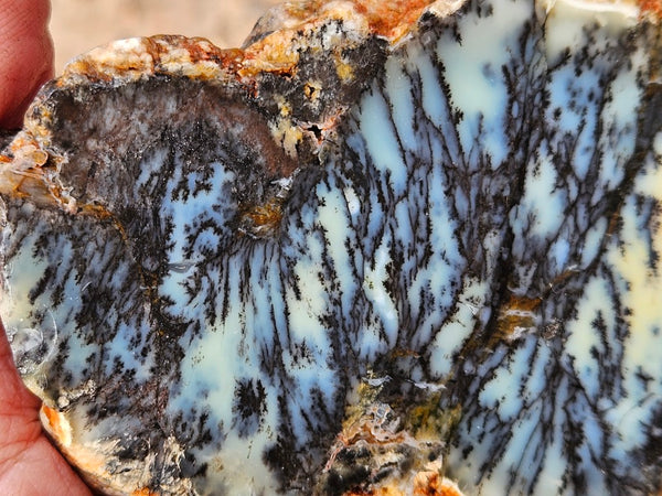 Polished Dendritic Opal slab DO245