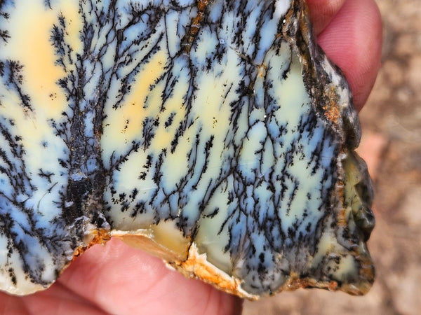 Polished Dendritic Opal slab DO245