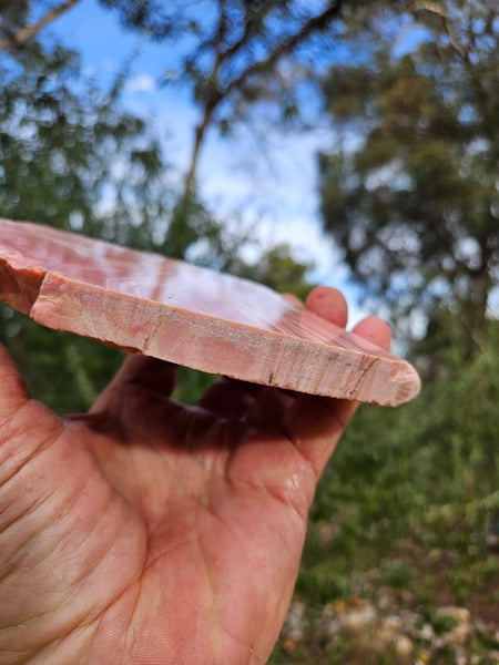 Polished Pink Opal  slab POP214