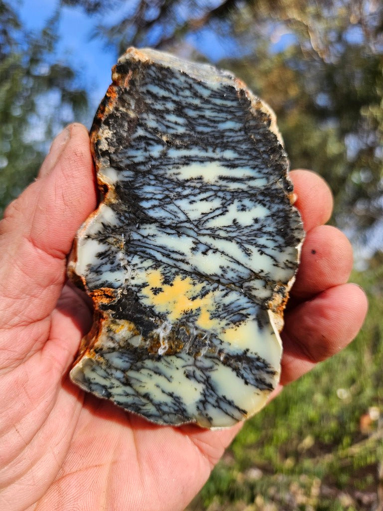 Polished Dendritic Opal slab DO244