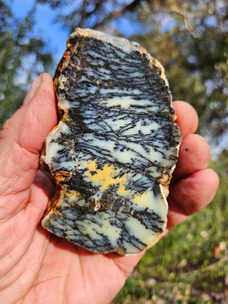 Polished Dendritic Opal slab DO244