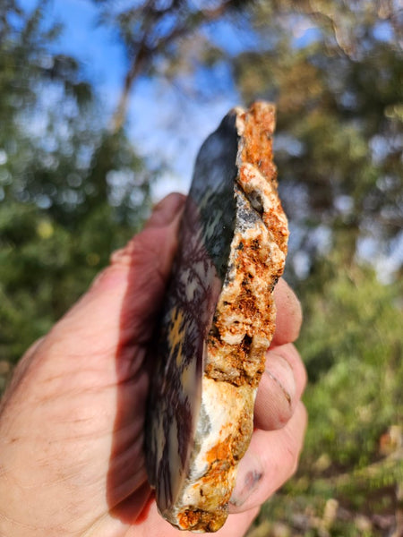 Polished Dendritic Opal slab DO244