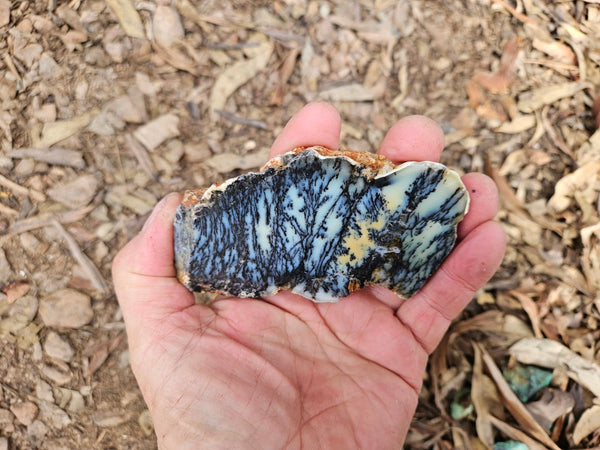 Polished Dendritic Opal slab DO244