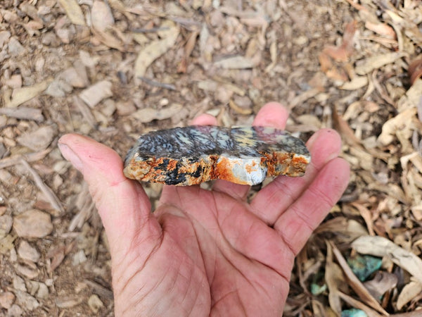 Polished Dendritic Opal slab DO244