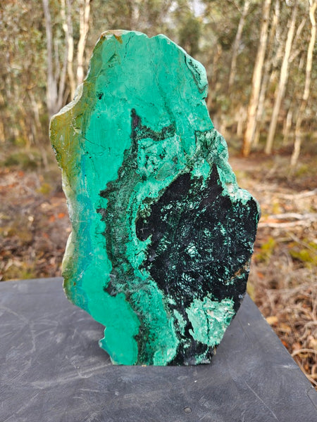 Polished De Grussa copper ore display specimen  CO142