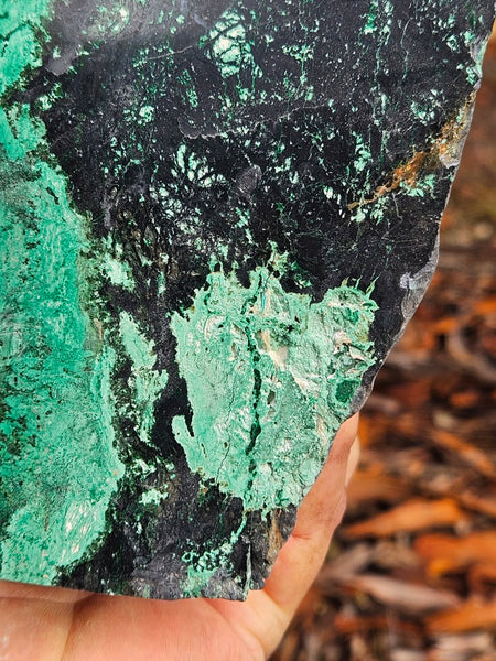 Polished De Grussa copper ore display specimen  CO142