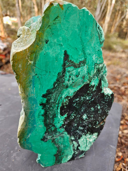 Polished De Grussa copper ore display specimen  CO142