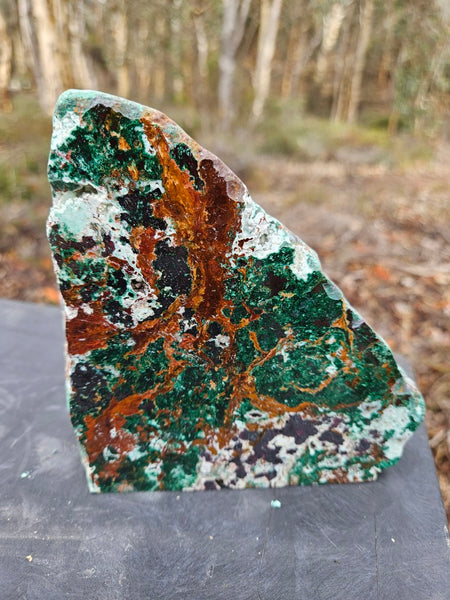 Polished De Grussa copper ore display specimen  CO143