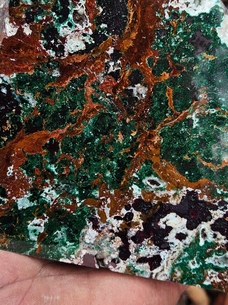 Polished De Grussa copper ore display specimen  CO143