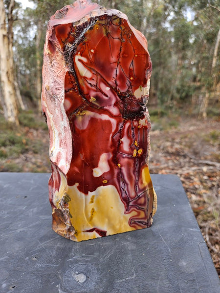 Polished Mookaite display specimen MK595