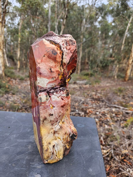 Polished Mookaite display specimen MK595