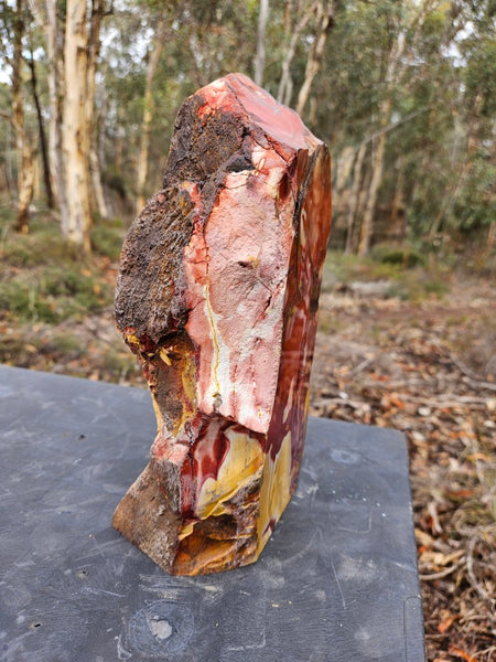Polished Mookaite display specimen MK595