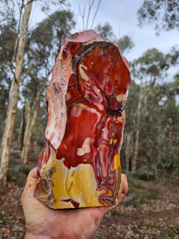 Polished Mookaite display specimen MK595