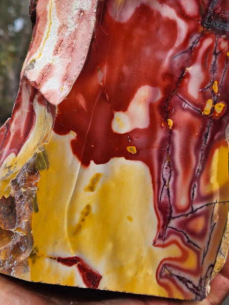 Polished Mookaite display specimen MK595