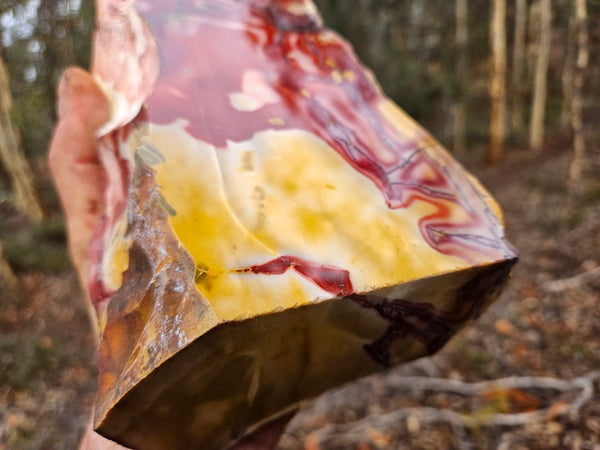 Polished Mookaite display specimen MK595