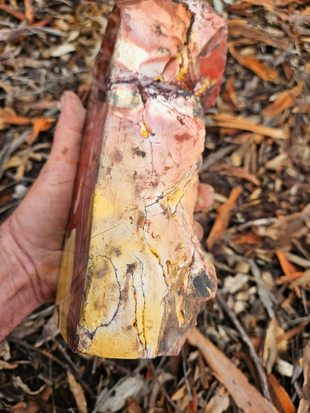 Polished Mookaite display specimen MK595