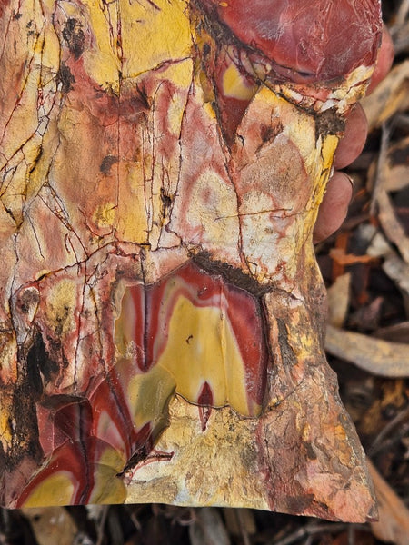 Polished Mookaite display specimen MK595