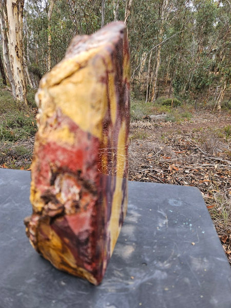 Polished Mookaite display specimen MK594