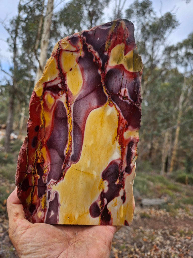 Polished Mookaite display specimen MK594