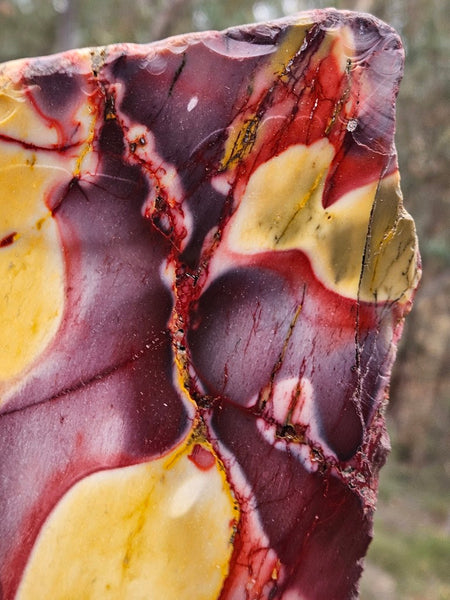 Polished Mookaite display specimen MK594
