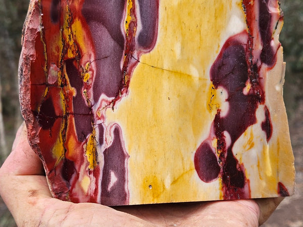 Polished Mookaite display specimen MK594