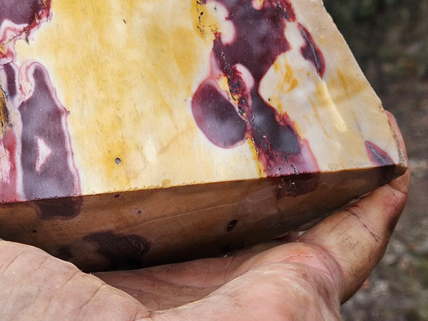 Polished Mookaite display specimen MK594