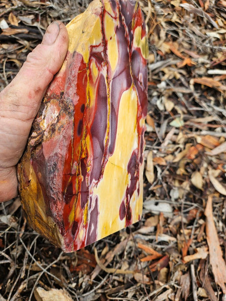 Polished Mookaite display specimen MK594