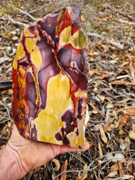 Polished Mookaite display specimen MK594