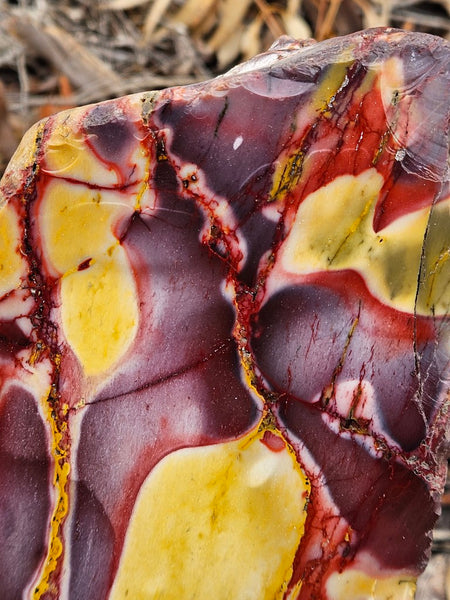 Polished Mookaite display specimen MK594