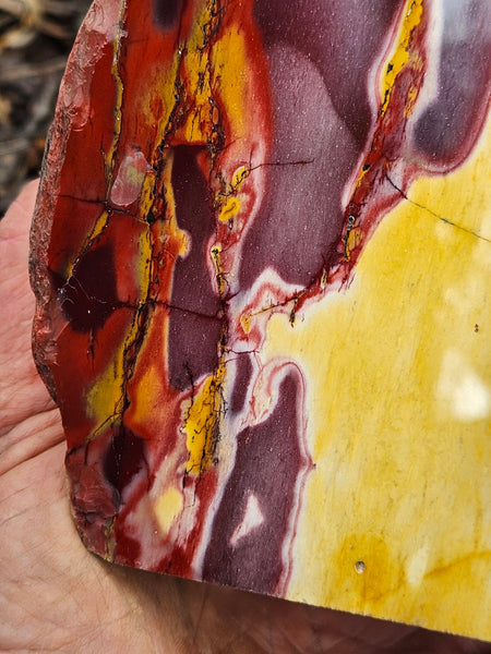 Polished Mookaite display specimen MK594