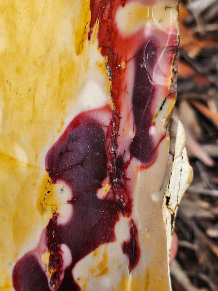 Polished Mookaite display specimen MK594