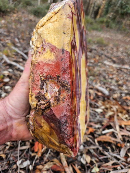 Polished Mookaite display specimen MK594
