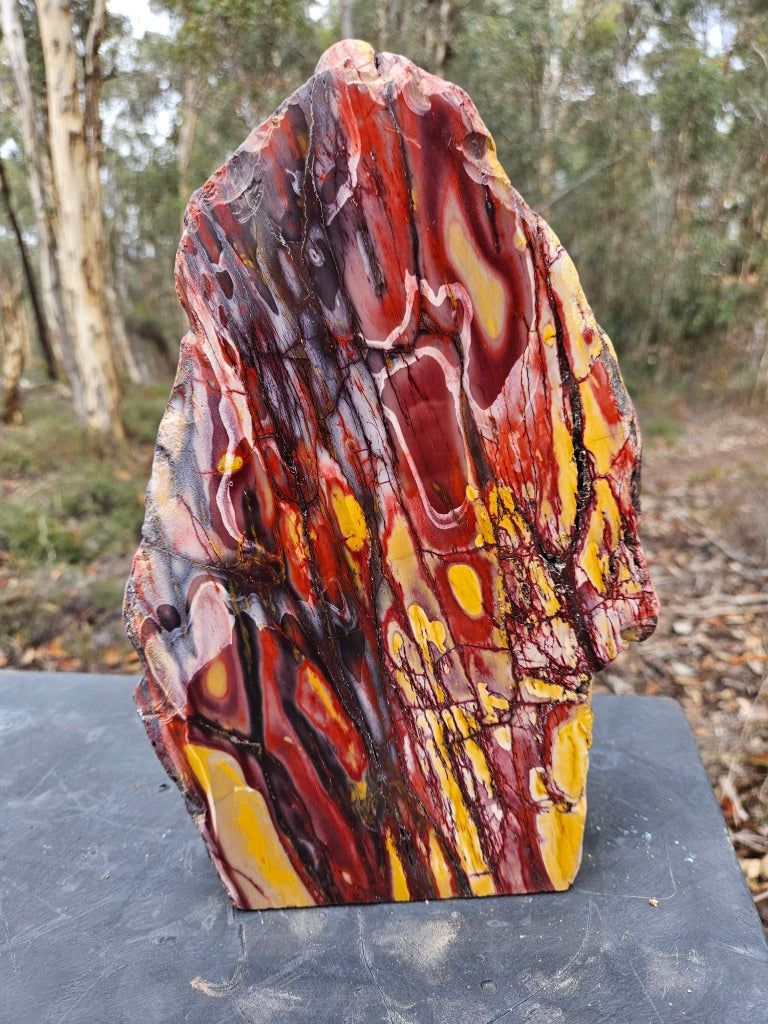 Polished Mookaite display specimen MK593