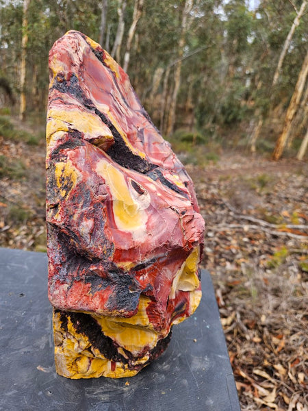 Polished Mookaite display specimen MK593