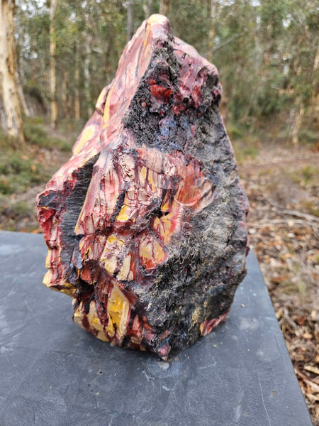 Polished Mookaite display specimen MK593