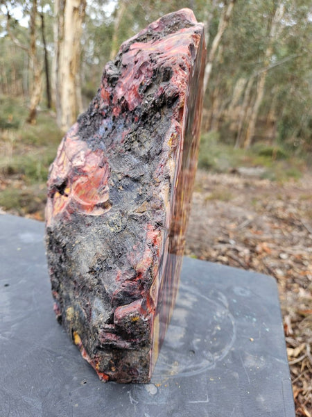 Polished Mookaite display specimen MK593