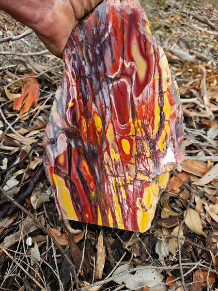 Polished Mookaite display specimen MK593