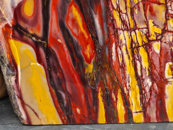 Polished Mookaite display specimen MK593