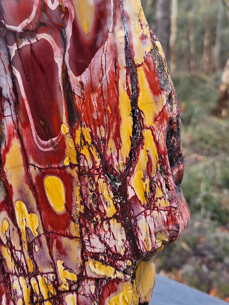 Polished Mookaite display specimen MK593