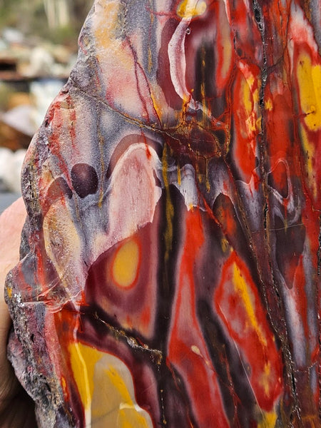 Polished Mookaite display specimen MK593